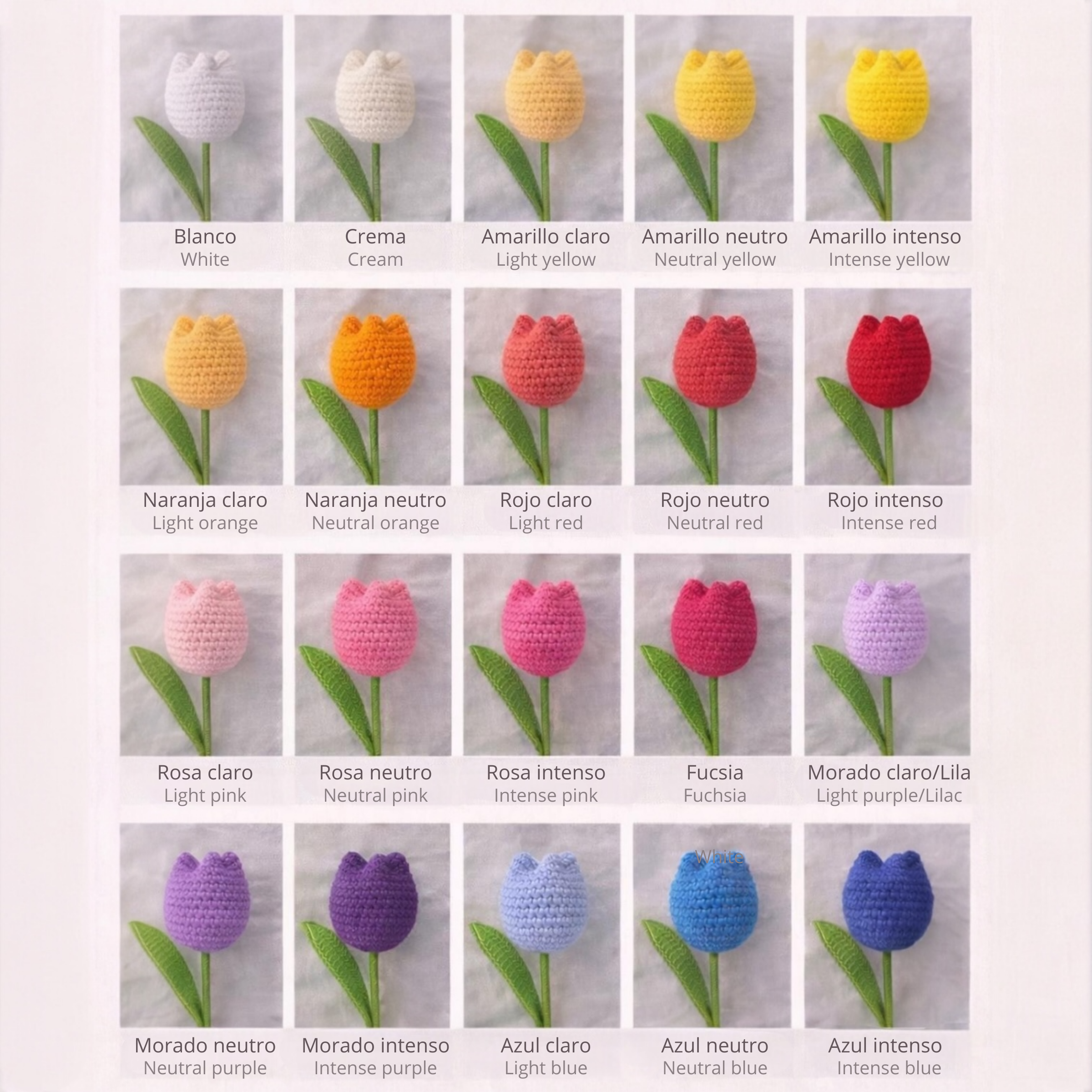 Ramo de tulipanes personalizado - Imagen 13